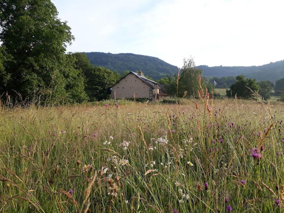 Le Studio Du Crot Noir Cussy-en-Morvan Buitenkant foto